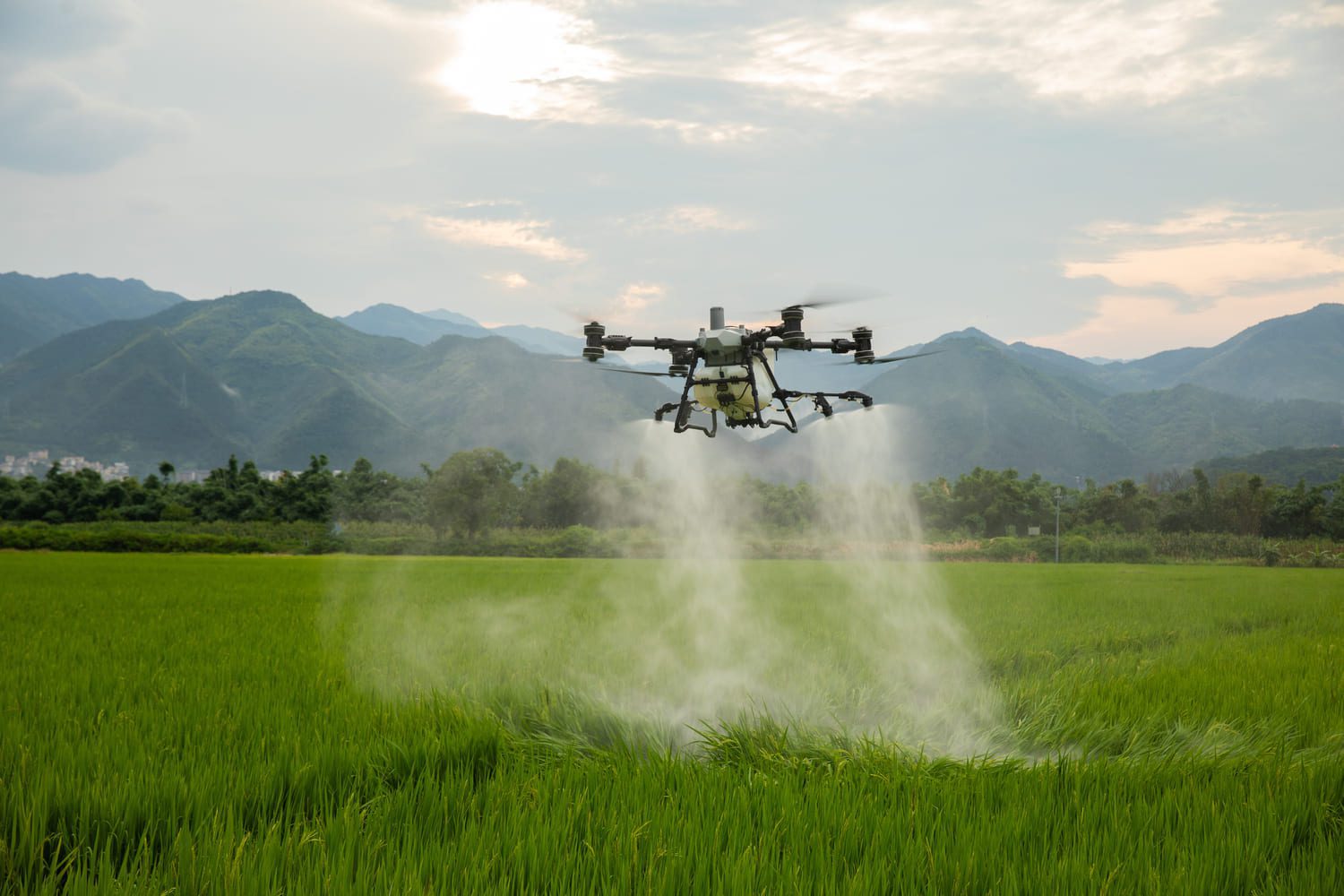 Agricultural drone spraying a field